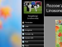 Andy & Albin, Albins bilderbok, Andy's MH & Pedigree, Linosone Pedigree  Andy & Albin, Albins bilderbok, Andy's MH & Pedigree, Linosone Pedigree