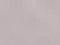 S*Skogsjentans Norska Skogkatter