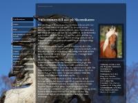  Skimmel rakuföl, såld, Skimmel, tölt