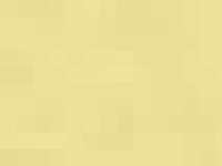 Sköna Tyger Sköna Tyger