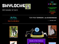 SKYLOCKE TOY FOX TERRIERS - TOLEDO, WASHIINGTON