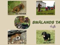 smalandstaxklubb.se Smålands taxklubb, tax, taxar