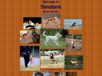 Smotare Ibizan Hounds - Raw Fed