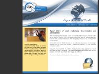 SMS Consulting Group