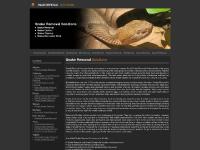  Bee Removal, Bird Removal, Raccoon Removal, Rat Removal