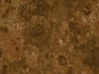  Snowmass Notes, The Making of Champions Series, Fiber Testing, Alpaca Meat