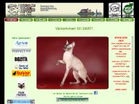 liten snrf.org skärmbild