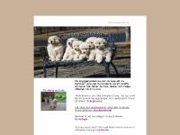 liten snyggahunden.se skärmbild liten snyggahunden.se skärmbild