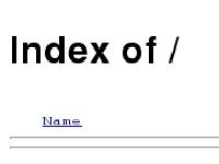 Index of / Index of /