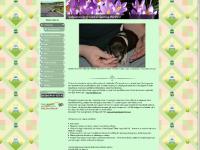 Ghisza, Sera, Tessa, Hundar vi minns  Ghisza, Sera, Tessa, Hundar vi minns