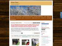 ANIMALS FOR SALE - Solace Farm