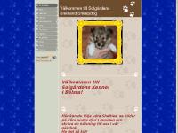 liten solgardens.se skärmbild liten solgardens.se skärmbild