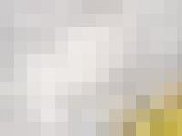 statistik för solnaweb 