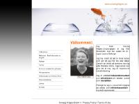 solveighilgers.se solveighilgers.se