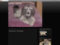 SONIC'S BLOG SONIC'S BLOG