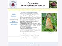 liten sormlandsentomologerna.se skärmbild liten sormlandsentomologerna.se skärmbild
