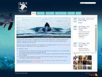 sos-tobago - Save Our Sea Turtles - Tobago sos-tobago - Save Our Sea Turtles - Tobago