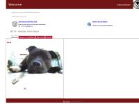 The KretschNevilleMann Empire