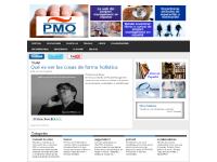 spanishpmo.com lider, responsable de proyecto, Director