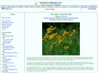 SparkleberrySprings.com SparkleberrySprings.com