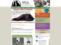 SPCA of North Brevard SPCA of North Brevard