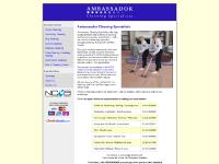 Ambassador Cleaning - Specialist Cleaning Company