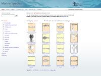 Feedback, ETI BioInformatics, Brachiopods, Corals and sea anemones Feedback, ETI BioInformatics, Brachiopods, Corals and sea anemones
