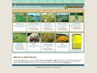 plants, seeds, videos, order plants, seeds, videos, order