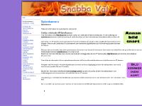 Spionkamera - Vi ger dig all information om Spionkamera