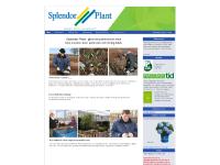 Splendor Plant - Växter med prakt och livskraft Splendor Plant - Växter med prakt och livskraft