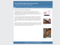 sprucewindholistic.com your, keywords, goes