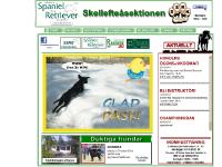 SSRK - Skellefteåsektionen SSRK - Skellefteåsektionen