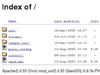 Index of / Index of /