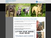 Staffy Pups, American Staffy | King of Blue Staffies Staffy Pups, American Staffy | King of Blue Staffies