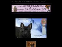 Gonczy Polski, Puppies, Boxer, For Sale Gonczy Polski, Puppies, Boxer, For Sale