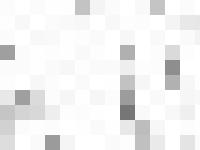 Rohrreinigung, TV-Untersuchung, Sanierung/Reparatur aller Abwasserrohre