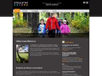 stellatus.com stellatus, montessori, montesori stellatus.com stellatus, montessori, montesori