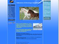 Startsidan - www.stenstugeislandshastar.se Startsidan - www.stenstugeislandshastar.se