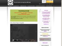 liten stockholmponnytrav.se skärmbild