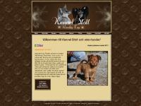 Kennel Stolt - Russkiy Toy Kennel Stolt - Russkiy Toy