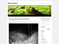 Stow Outdoors | Nature Sightings and Outdoor News from Stow, MA