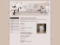 gå till webbplats gå till webbplats