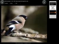 liten stromstadsfotograferna.se skärmbild