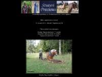 Stuteri Precious - Sj&ouml;&auml;ngens Rival RS 434