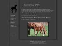www.stuteriprima.se