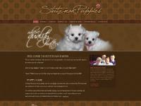 Stutzman's Puppies - Welcome to Stutzman Farm