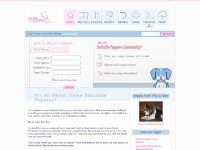 suitable-puppies.com Photos, Beagles |, Bernese Mountain Dogs |