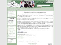 Série Economique et Sociale, Série STG, La calculatrice en Physique-Chimie, Annales à r Série Economique et Sociale, Série STG, La calculatrice en Physique-Chimie, Annales à r