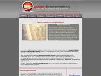 Security Consultants and Litigation Support - Sulzer Enterprises Inc.