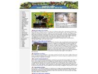 Djur, natur & milj Djur, natur & milj